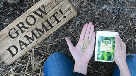 The Stripped-Down Approach to Starting a Garden (with Video) Image